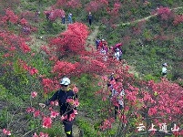 大幕山：春日风景美如画 赏花游玩好去处
 