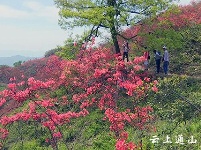 大幕山：春日风景美如画 赏花游玩好去处
 