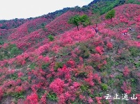 大幕山：春日风景美如画 赏花游玩好去处
 