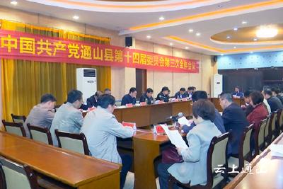 中共通山县十四届委员会召开第三次全体会议