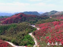 大幕山：春日风景美如画 赏花游玩好去处
 