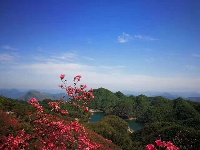 大幕山：春日风景美如画 赏花游玩好去处
 