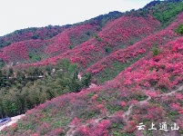 大幕山：春日风景美如画 赏花游玩好去处
 