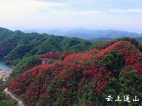 大幕山：春日风景美如画 赏花游玩好去处
 