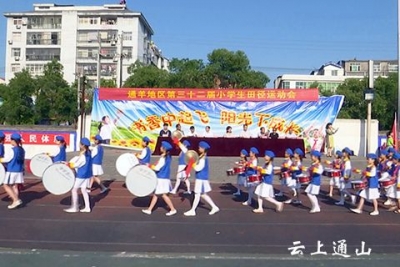 通羊地区第32届小学生田径运动会举行