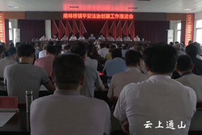 南林桥镇召开平安法治创建工作推进会
