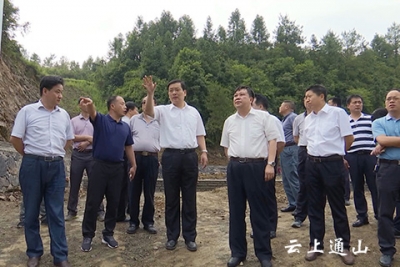 丁小强：将幕阜山绿色产业带建设为“民生民心带”