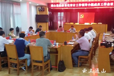 全县经济责任审计工作领导小组会议召开