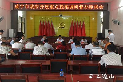 市领导来我县开展重点提案调研督办活动