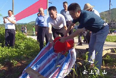 2000万尾鱼苗将陆续投放富水河流域