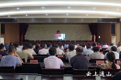 全市召开上半年项目建设暨经济形势分析工作视频会