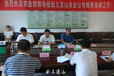 【动态】农业部农业产业化司司长王乐君来我县调研