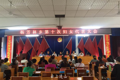 杨芳林乡召开第十次妇女代表大会