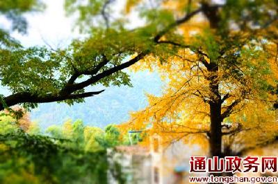 【我的醉美乡愁、十大风情村湾】系列之二黄沙铺镇曾家山
