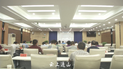 我市召开全面深化非煤矿山综合整治工作电视电话会