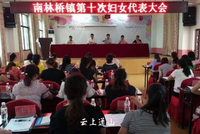 【动态】南林桥镇召开第十次妇女代表大会