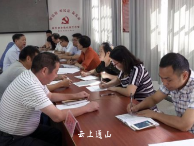 市党代表深入杨芳林乡开展党代表联系日活动 
