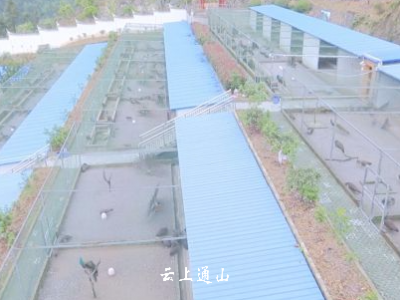 石门村：瞄准“特色”做文章聚力攻坚打硬仗