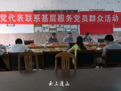 市党代表赴黄沙铺镇开展联系基层服务党员群众活动