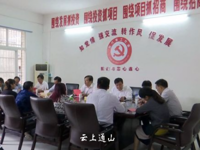 党心连民心  丁小强到南林桥镇参加“党代表联系日”活动