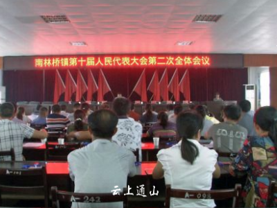 南林桥镇召开第十届人民代表大会第二次会议 