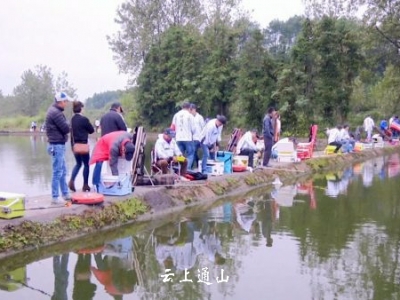 民间钓鱼比赛火热 60余名高手冒雨竞技 
