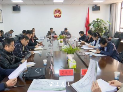 我县召开大畈龙隐山项目推进会