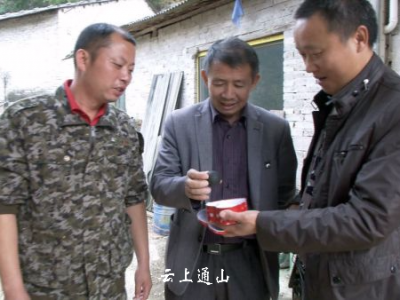 【视频】通山村民宰羊遇