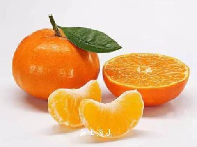 【健康】脱发吃什么水果比较好? 脱发该这么调理