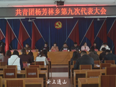 共青团杨芳林乡第九次代表大会圆满召开 
