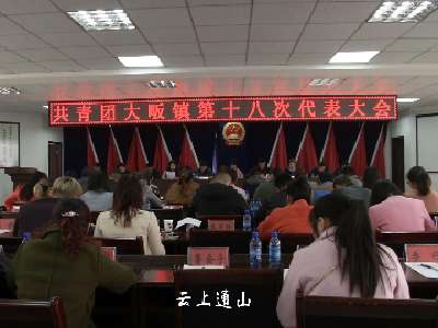 共青团大畈镇第十八次代表大会召开 