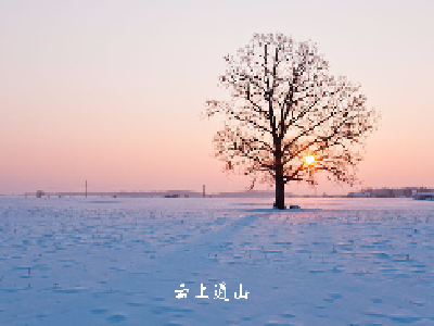 【诗情画意】初冬