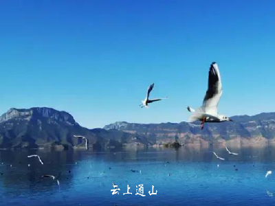【诗情画意】冬的扉页
