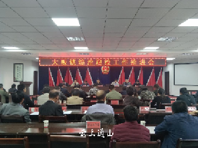 大畈镇综治迎检工作推进会 