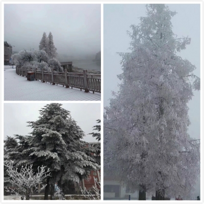 云上咸宁——九宫山下雪啦！梦幻的雪世界，美翻啦！