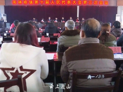 南林桥镇召开第十届人民代表大会第三次会议