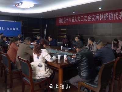 石玉华参加南林桥镇人大代表团审议《政府工作报告》 