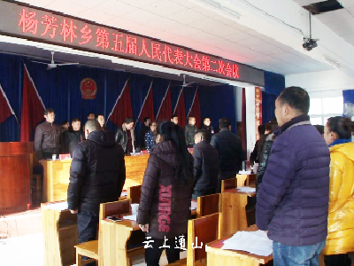 杨芳林乡举行五届人大二次会议