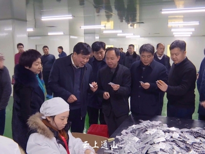 对标学习先进  提质增速抓好项目建设 