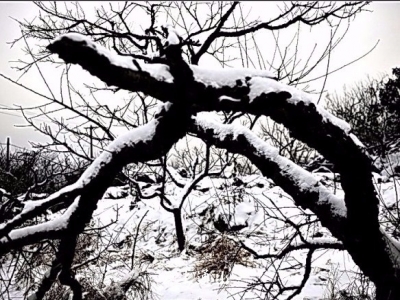 凤池山的雪