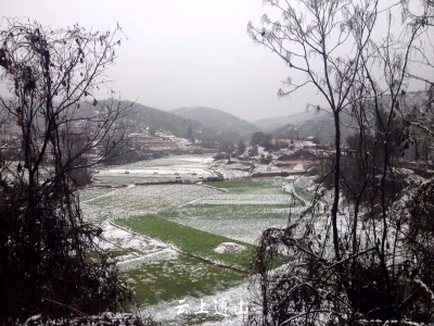 徐金秋|感受雪