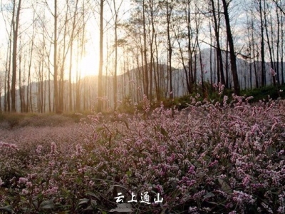  廖双河|山通水富赋
