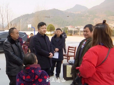 陈洪豪赴九宫山镇开展走访慰问活动 