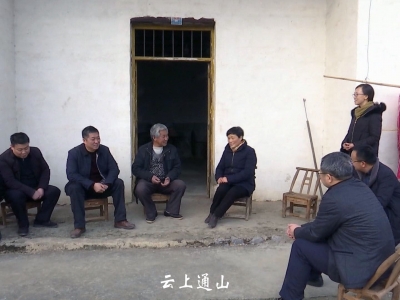 副市长汪凡非赴大畈镇走访慰问
