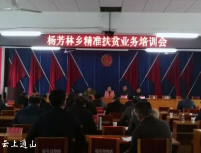 杨芳林乡：扎实培训促村扶贫台账完善