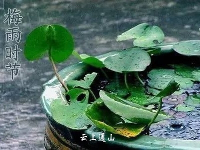 【小知识】梅雨季房子如何防潮?