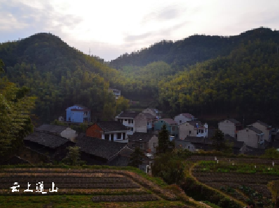【音频】邓坤文 |我的土黄狗