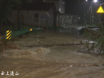 【视频】强降雨再临 通山积极应对  