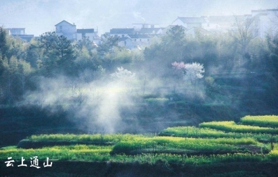 郑安国|春阴寂寂