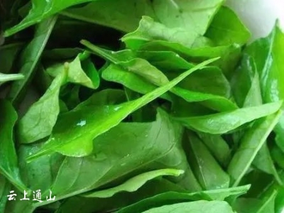 【养生】四月当季的养生菜，吃好当季食物可防病！